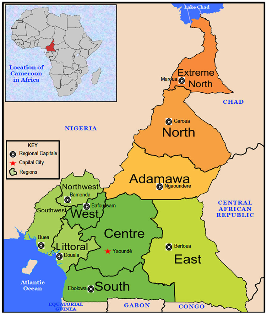 Solutions and Answers to Cameroon GCE  Questions Commerce Ordinary Level 2016 , 2017 , 2018 , 2019 , 2020 , 2022 , 2023 , 2024